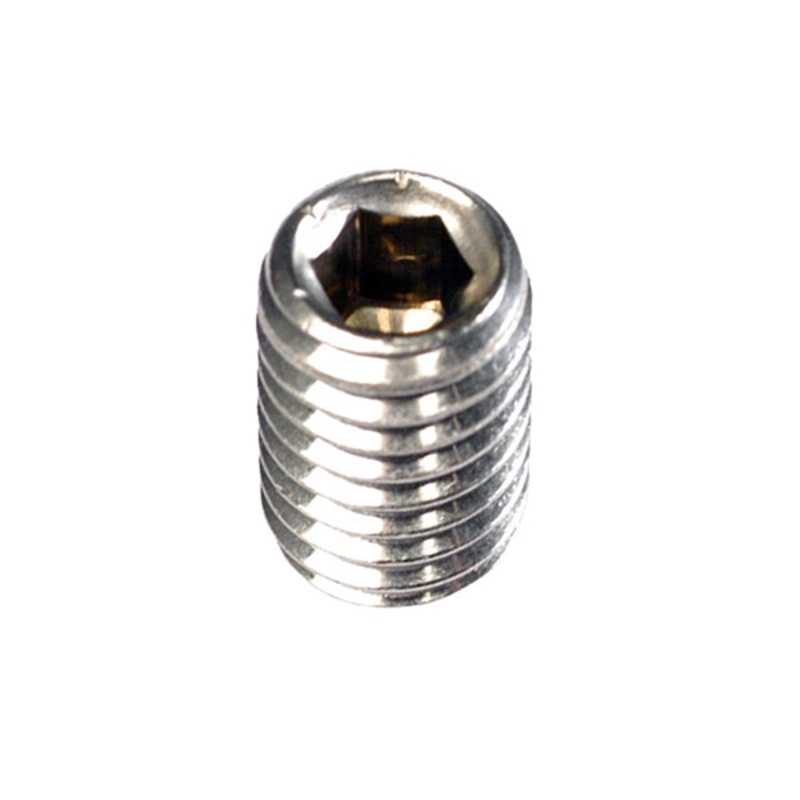 Champion M8 x 16mm Socket Grub Screw -10pk