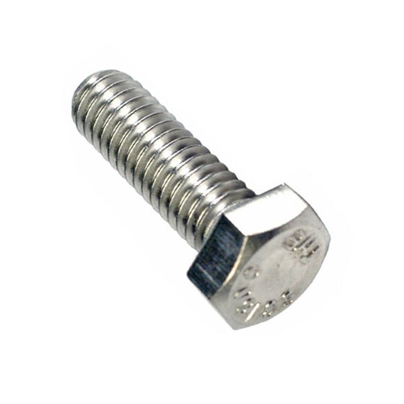Champion 1/4in UNC Hex Nut - 316/A4 (C)