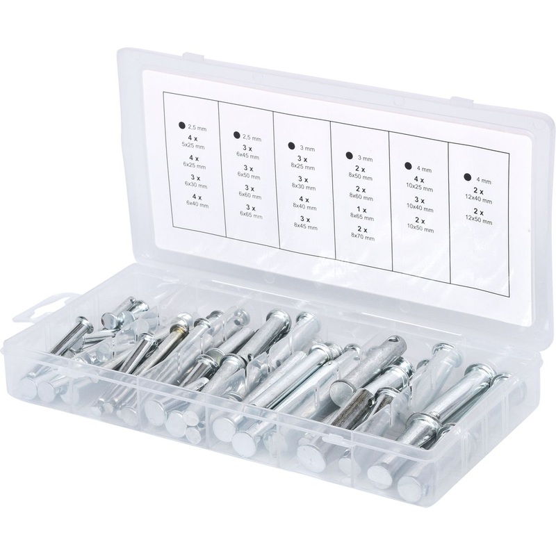 Surtido de pernos de seguridad KS TOOLS,  5-12 mm, 21 tamaos, 60 piezas ( 970.0210 )